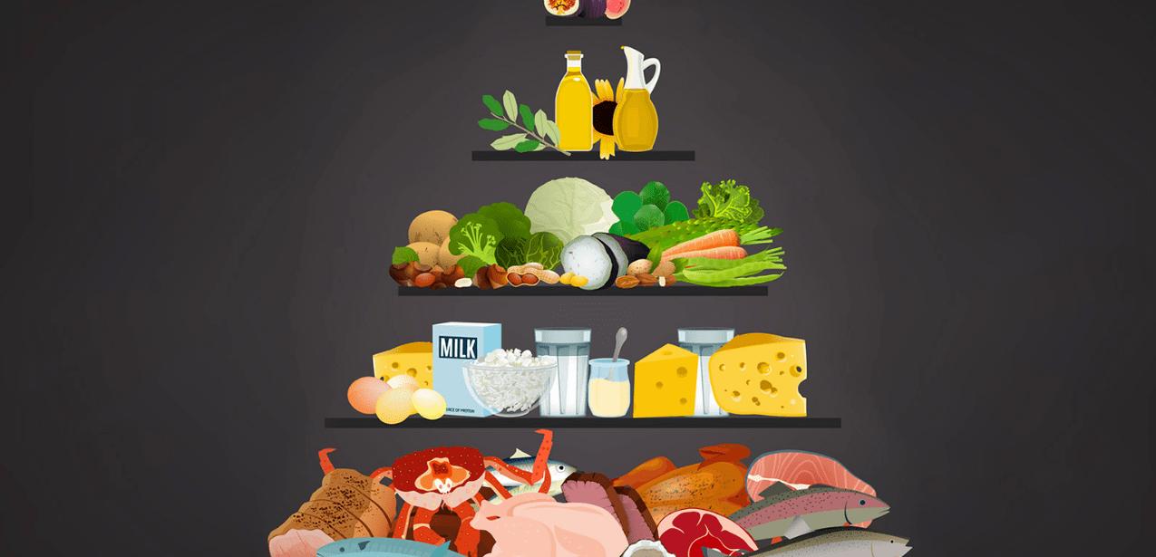 Proteindiät