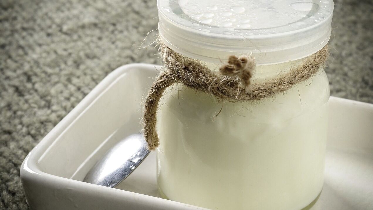 fermentierte Milchprodukte am fünften Tag